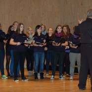 „All dra“ – VOICES in Kärnten „All dra“ – VOICES in Kärnten